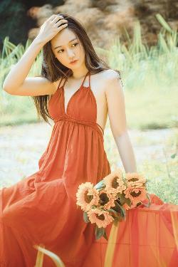 韶华若锦电视剧免费观看全集在线播放